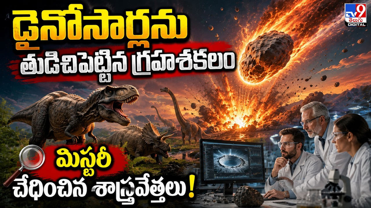 6.6 కోట్ల ఏళ్ల నాటి డైనోసార్ల అంతం: గ్రహశకలం మిస్టరీ వీడింది