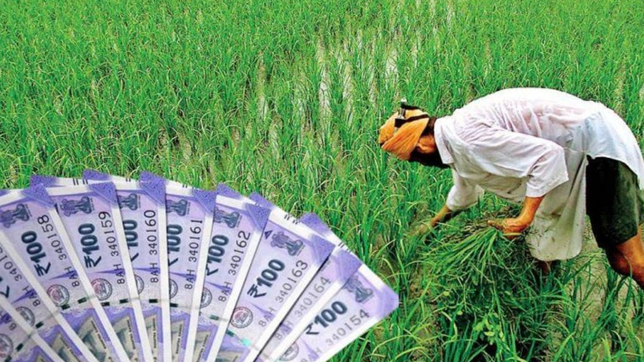 అక్టోబర్ 15 నుంచి ధాన్యం కొనుగోళ్లు: క్వింటాల్కు రూ.2461 వరకు ధర