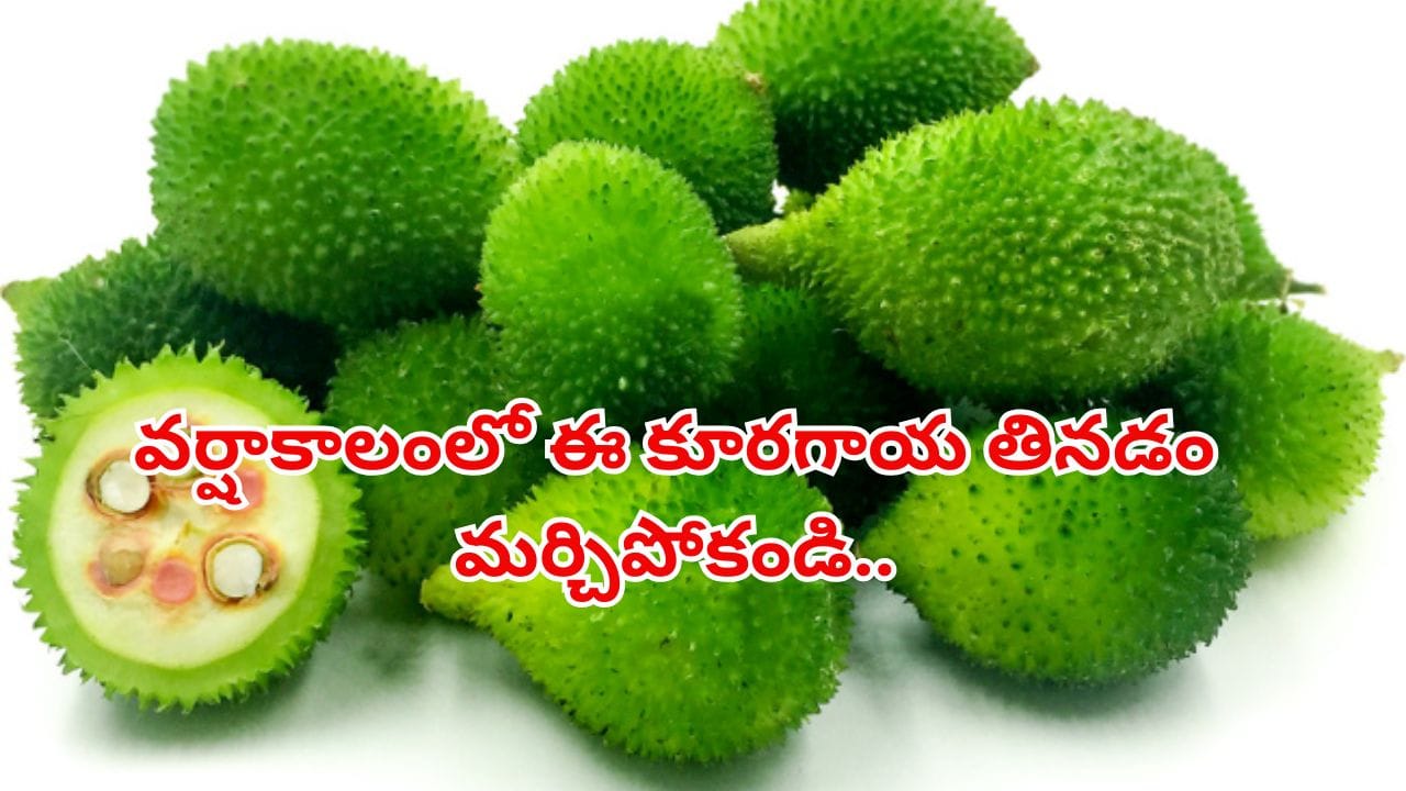 ఆరోగ్య ప్రయోజనాల ఆకాకరకాయ: వర్షాకాలంలో తప్పక తినాల్సిన కూరగాయ