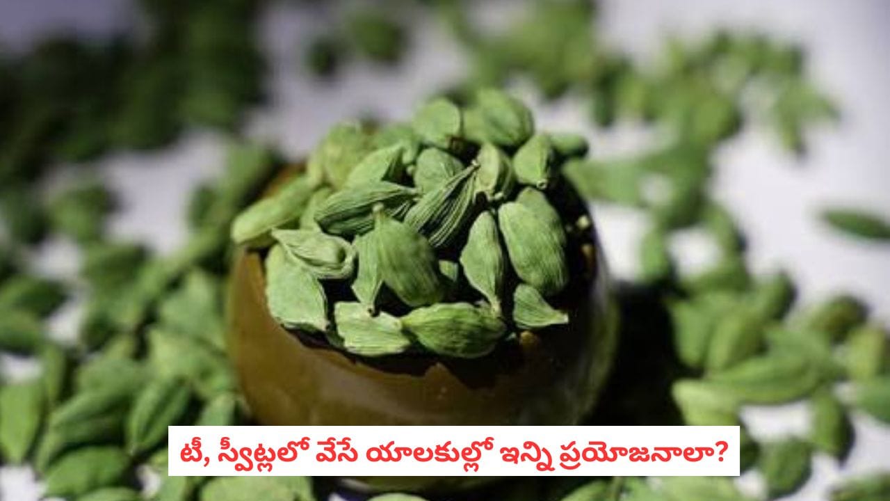 భోజనం తర్వాత యాలకులు నమలడం వల్ల కలిగే ప్రయోజనాలు, పరిమితులు