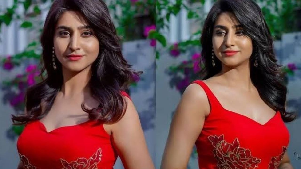 బిగ్‌బాస్ 10 తెలుగు కంటెస్టెంట్‌గా వర్షిణి సౌందరరాజన్ పేరు వినిపిస్తోంది