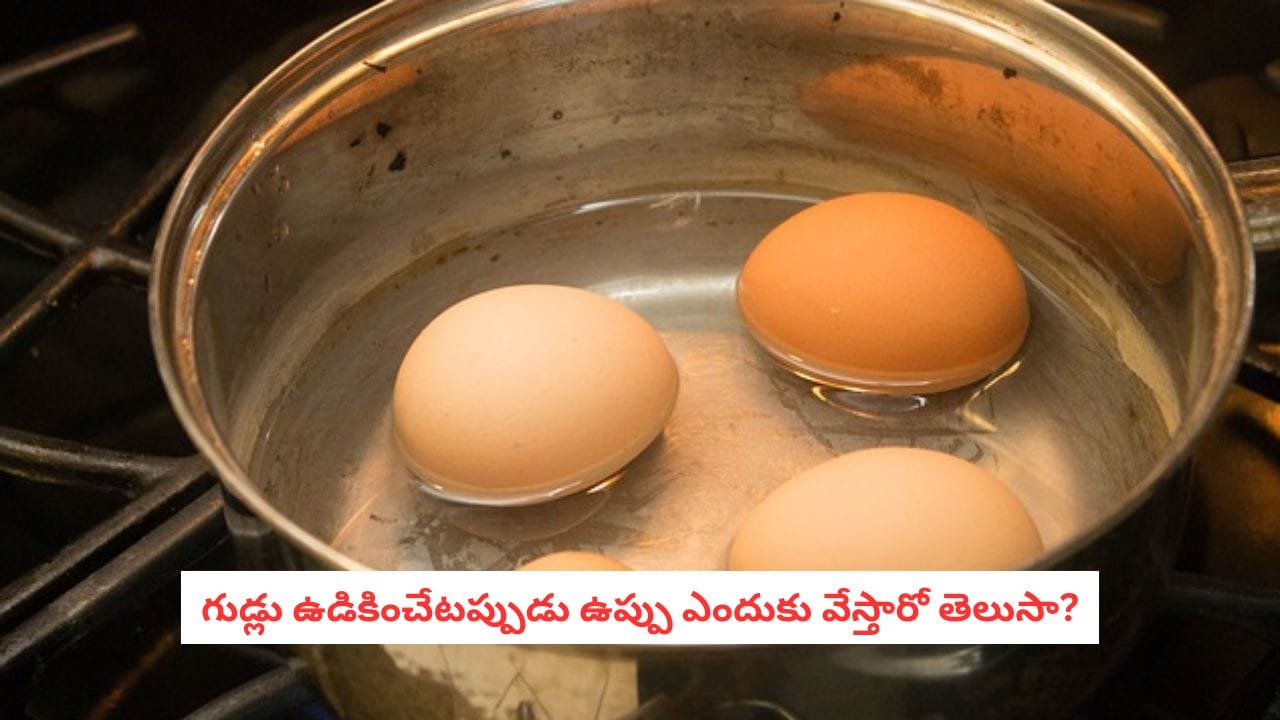 Boiled Eggs: గుడ్లు ఉడికించేటప్పుడు ఉప్పు వేస్తున్నారా? అసలు కారణం తెలిస్తే షాకవుతారు!