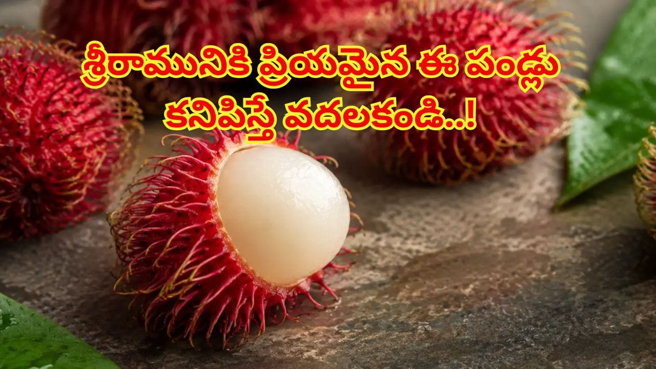 దక్షిణ భారతంలో అందుబాటులోకి వచ్చిన రాంబుటాన్ పండు