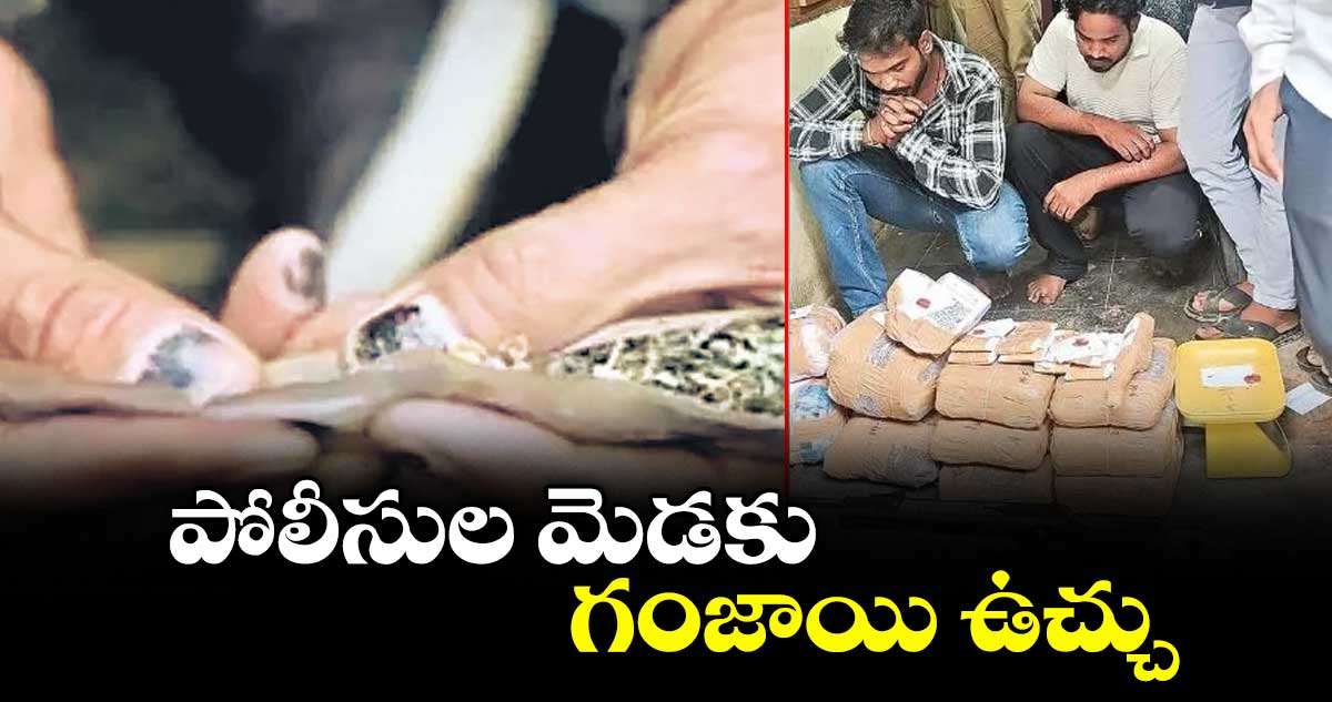 హైదరాబాద్లో గంజాయి ముఠాతో పోలీసుల సంబంధాలు: అంతర్గత విచారణ