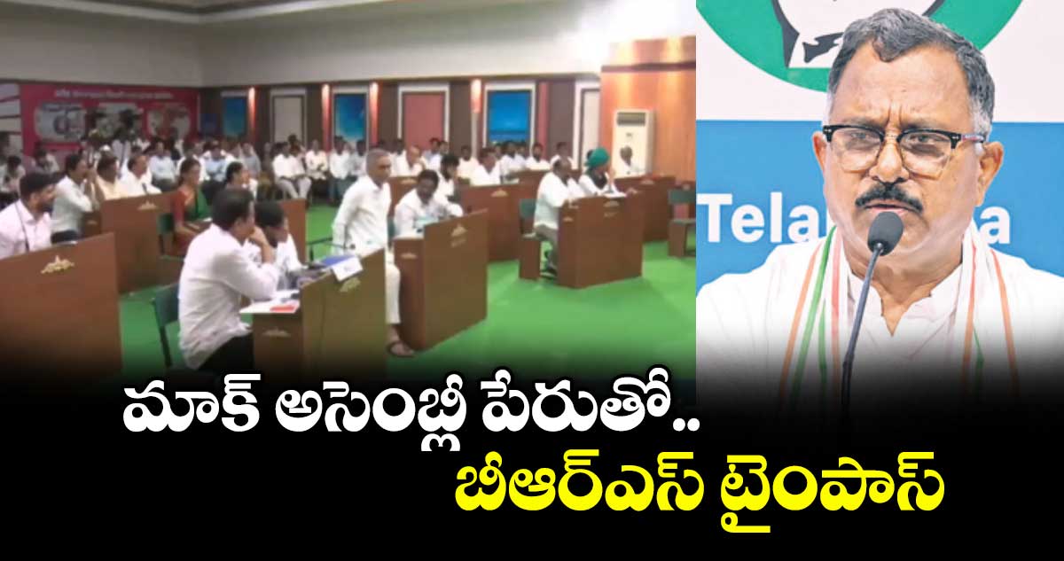 మాక్ అసెంబ్లీ పేరుతో బీఆర్ఎస్ కాలక్షేపం: ఎంపీ మల్లు రవి విమర్శ