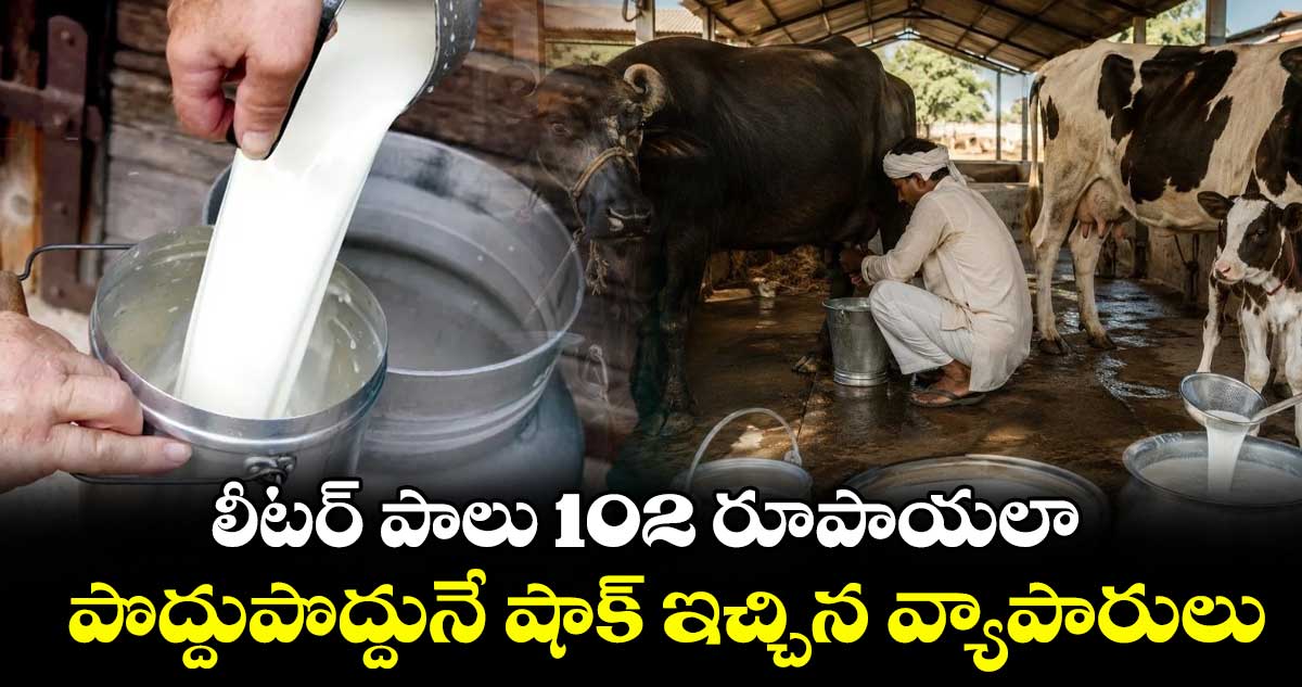ముంబైలో లీటర్ గేదె పాల ధర ₹102, ఒక్కరోజే ₹9 పెంపు
