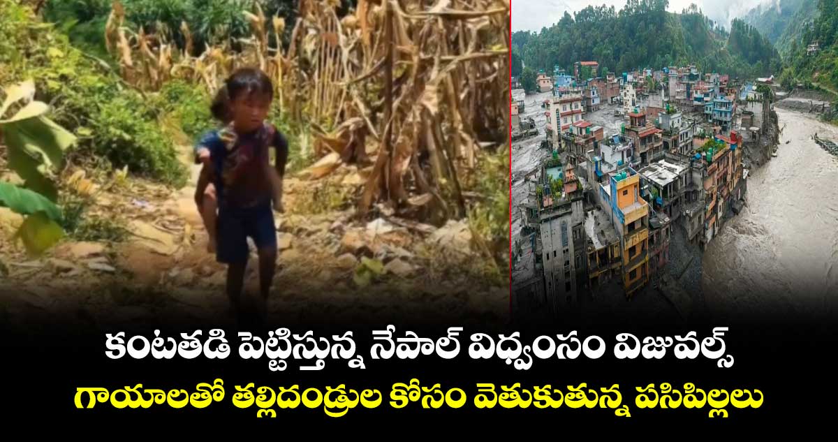 నేపాల్ వరదల్లో తల్లిదండ్రుల కోసం వెతుకుతున్న చిన్నారుల వీడియో వైరల్