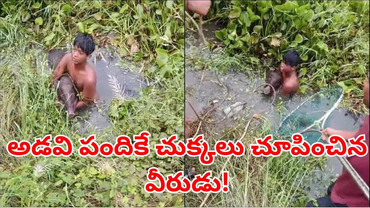 ఒడిశా: అడవి పందితో రెండు గంటల పాటు పోరాడిన 14 ఏళ్ల బాలుడు
