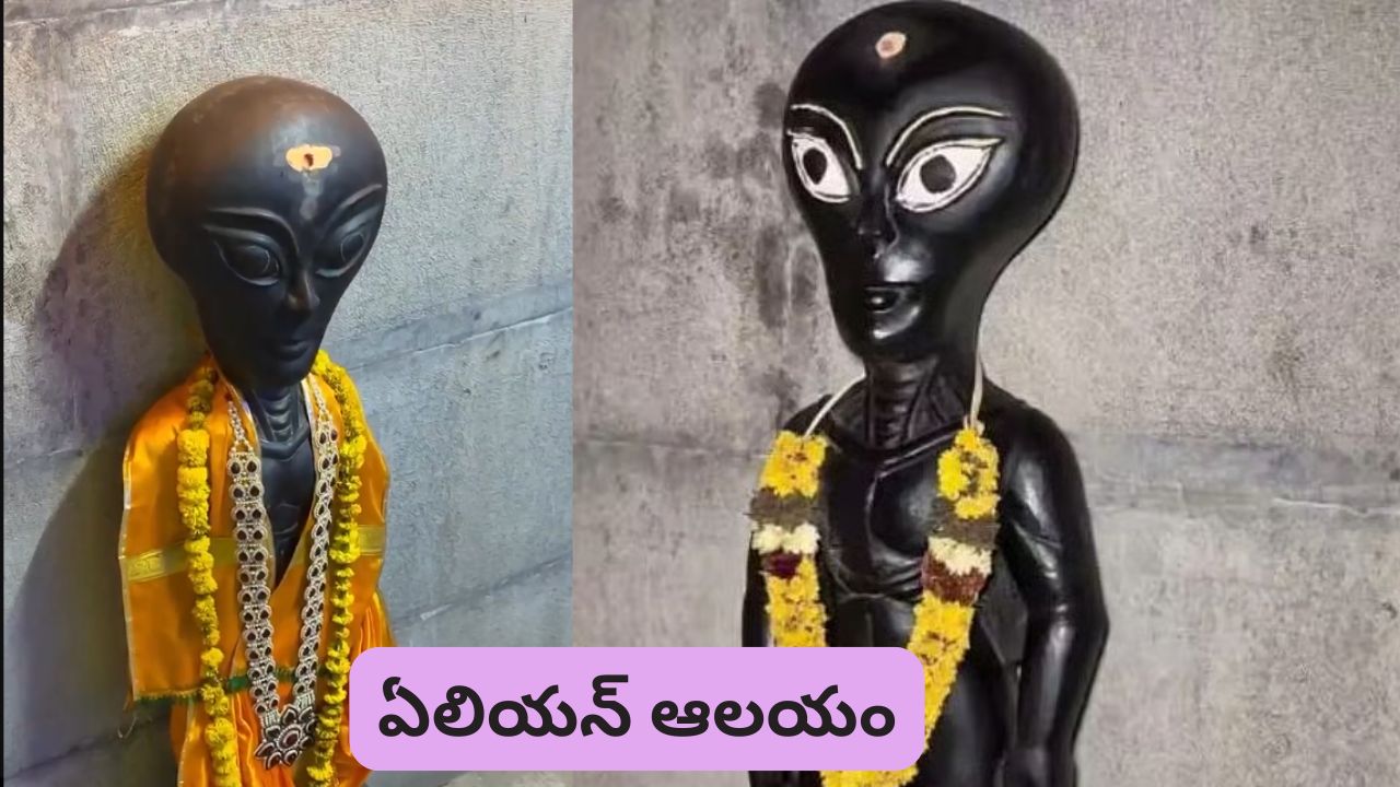 తమిళనాడులో ఏలియన్ విగ్రహంతో ఆలయం: మల్లముపంపట్టి గ్రామంలో ప్రత్యేకత