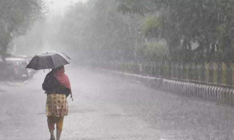 తెలంగాణలో మరో వారం రోజులు వర్షాలు: వాతావరణ శాఖ హెచ్చరిక