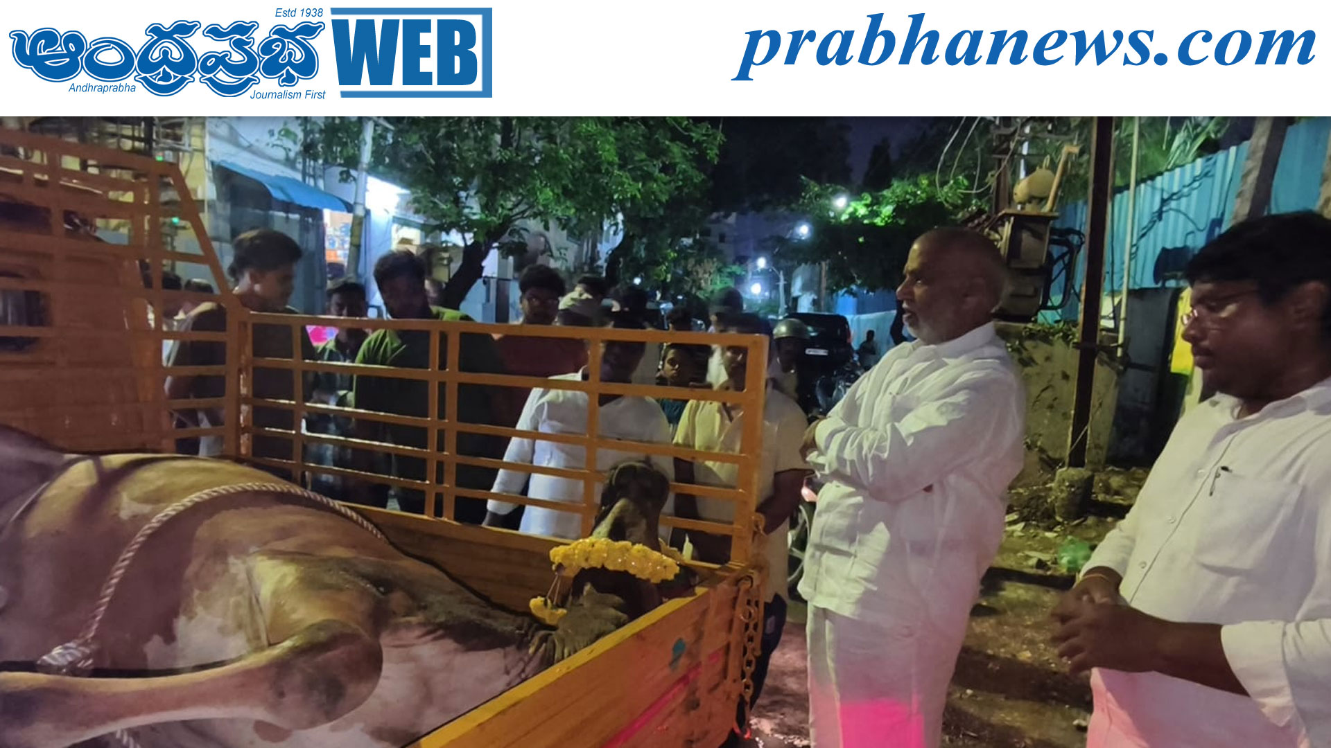 విజయవాడలో విద్యుత్ షాక్తో గోవు మృతి: అధికారుల నిర్లక్ష్యంపై ఆగ్రహం