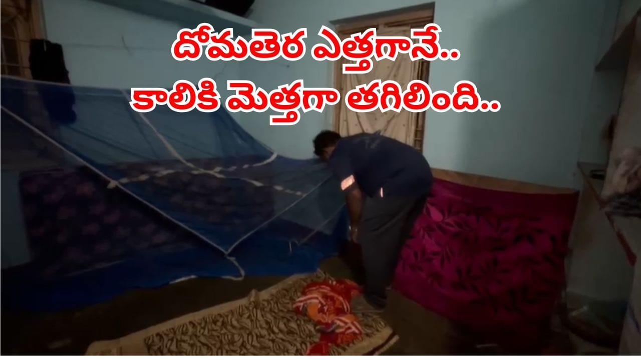 విశాఖలో దోమతెరలో దూరిన ఆరడుగుల నాగుపాము